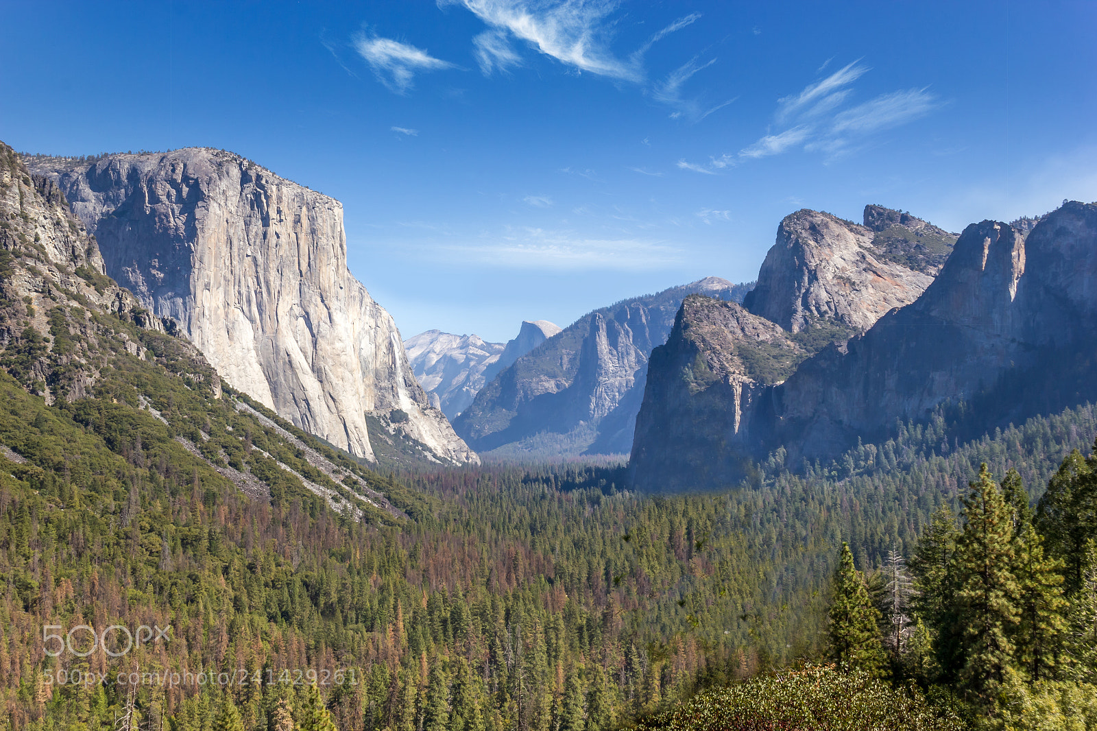 Canon EOS 550D (EOS Rebel T2i / EOS Kiss X4) sample photo. Yosemite valley photography