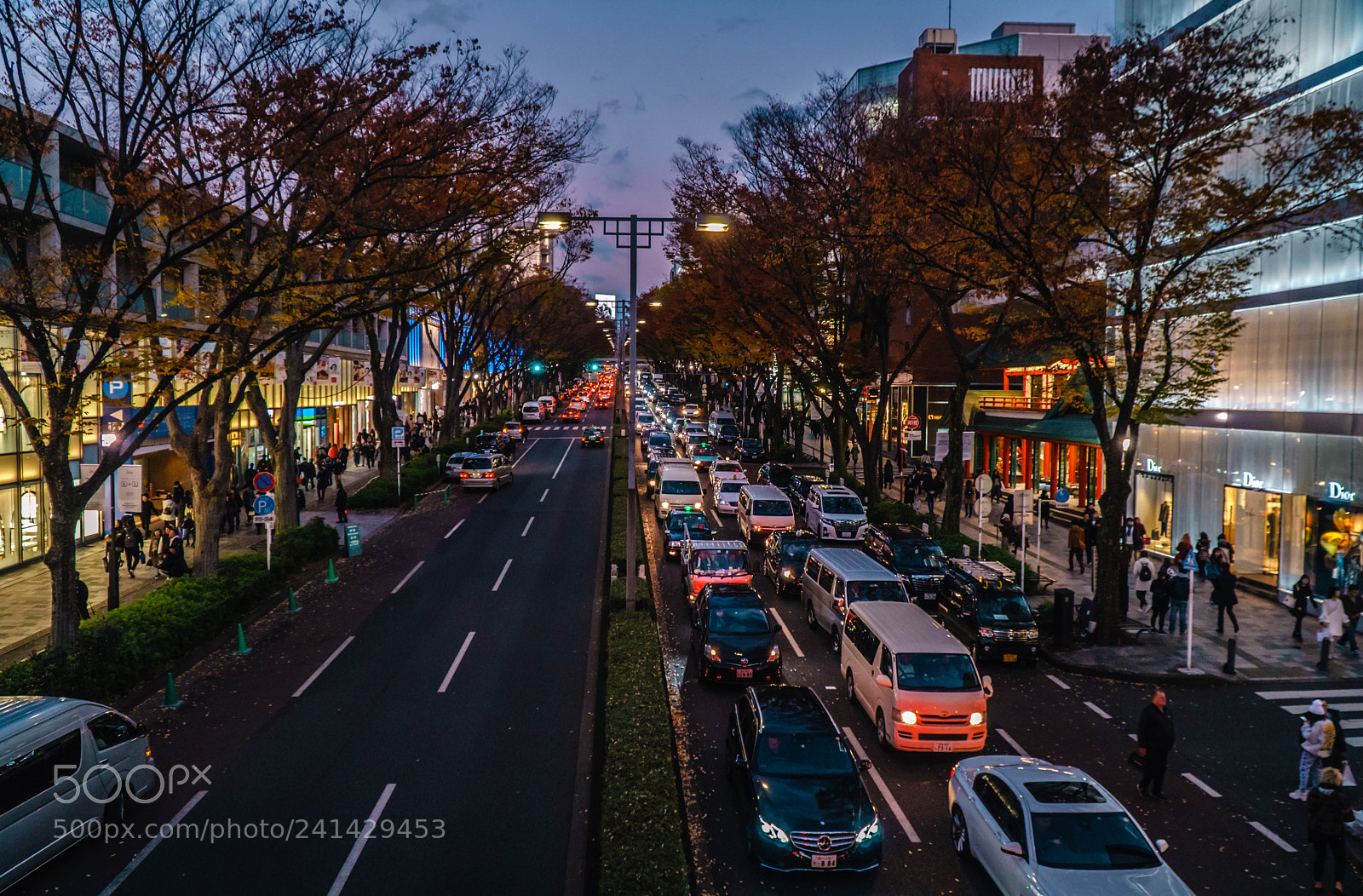 Sony a6300 sample photo. Color 2 photography