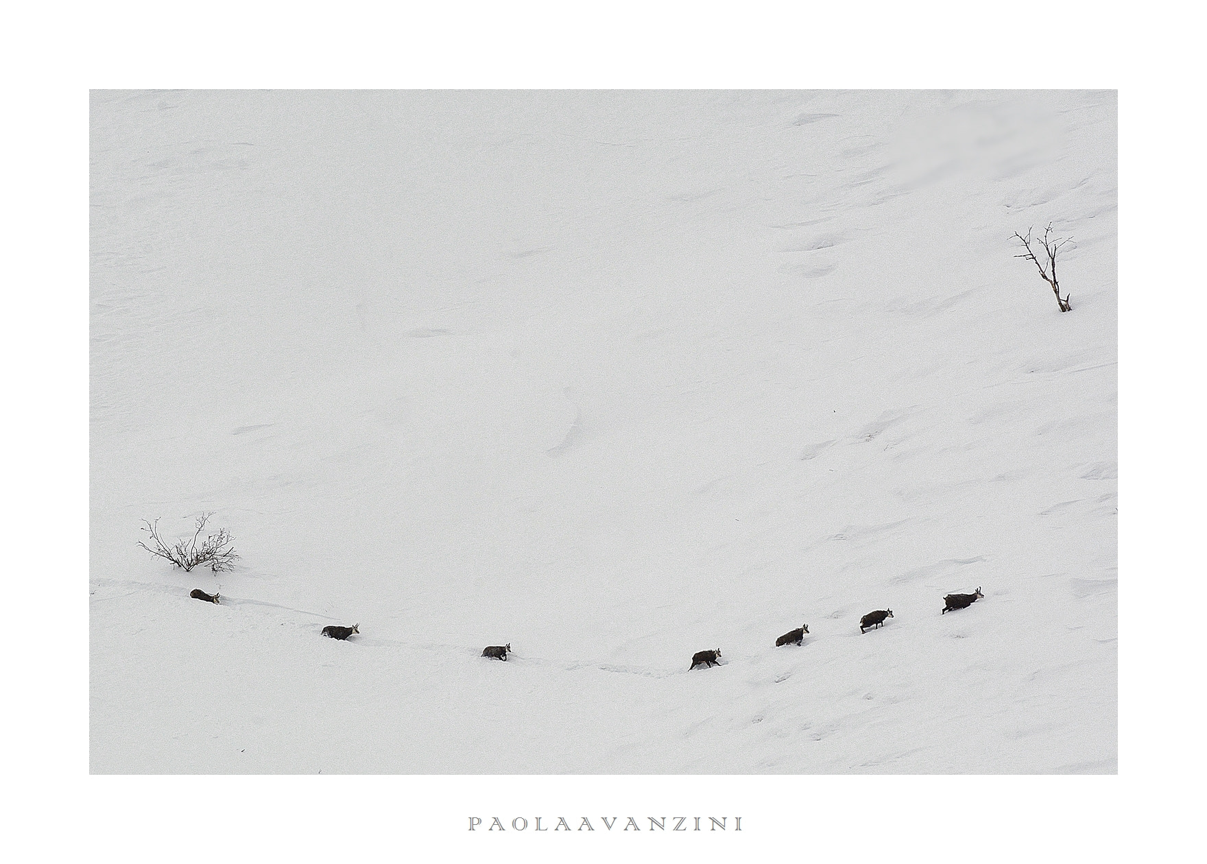 Nikon D7100 sample photo. Colonnadivite photography