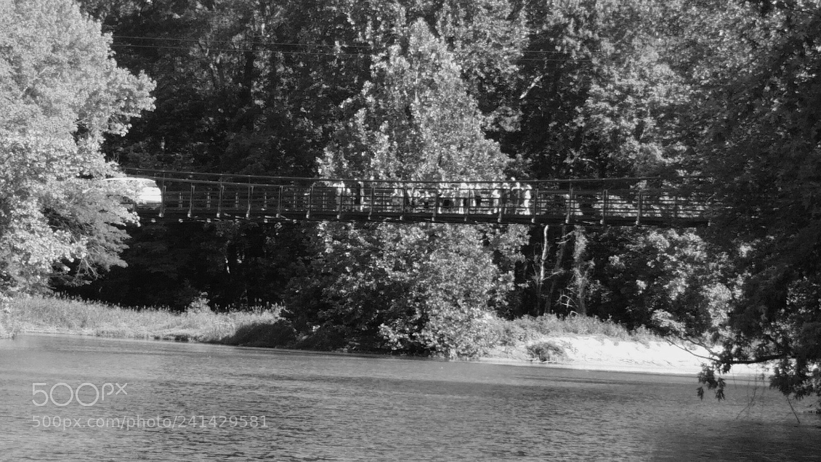 Samsung Galaxy S5 sample photo. Swinging bridge photography