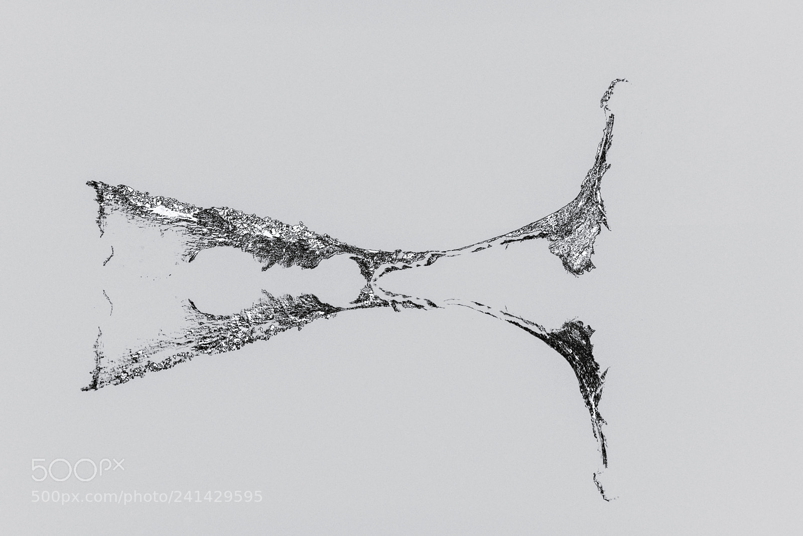 Nikon D800E sample photo. Prehistoric abstract photography