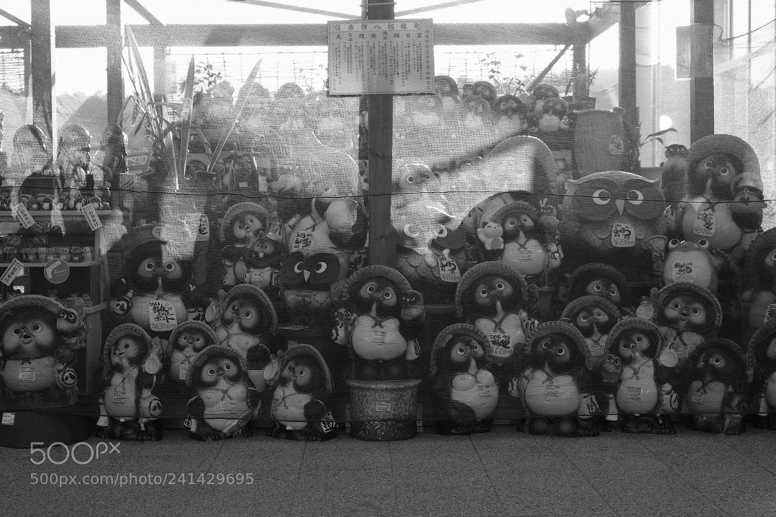 Fujifilm X-Pro2 sample photo. All members aggregate photography