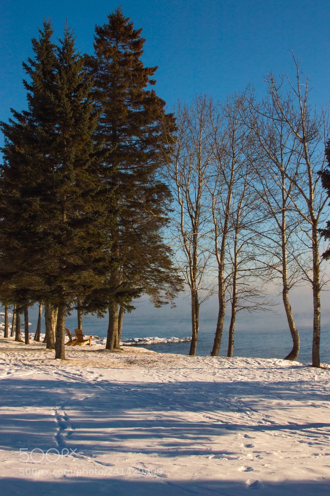 Nikon D3200 sample photo. Modific photography