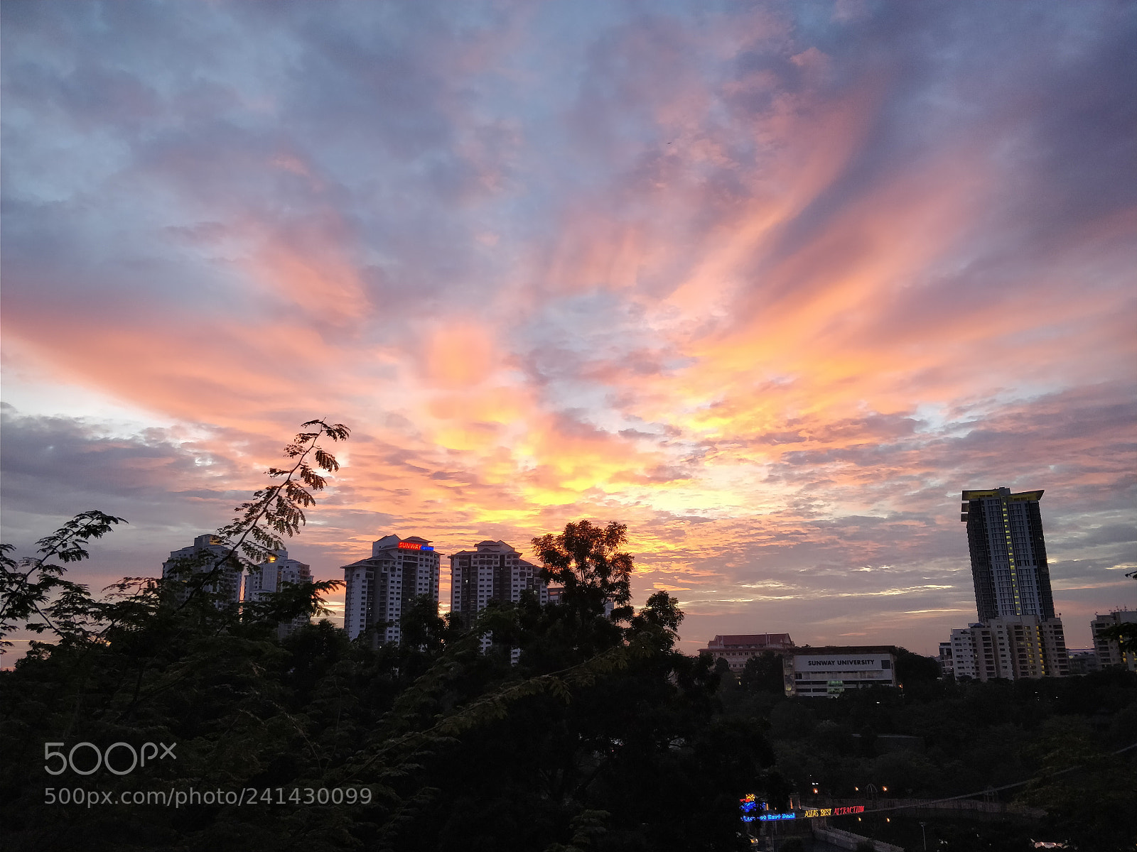 OnePlus 5 sample photo. Untitled photography