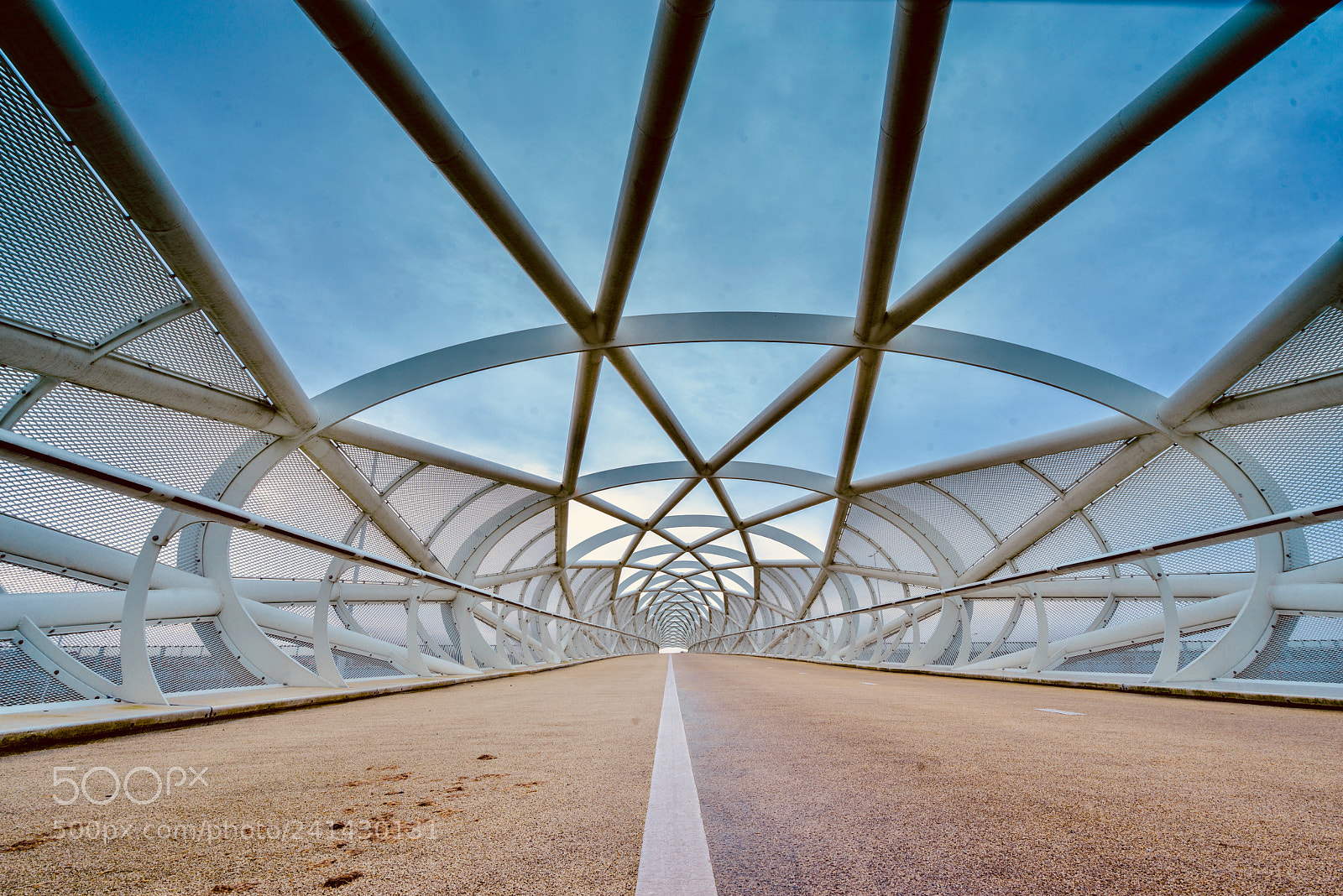 Sony a7R sample photo. Netkous rotterdam photography