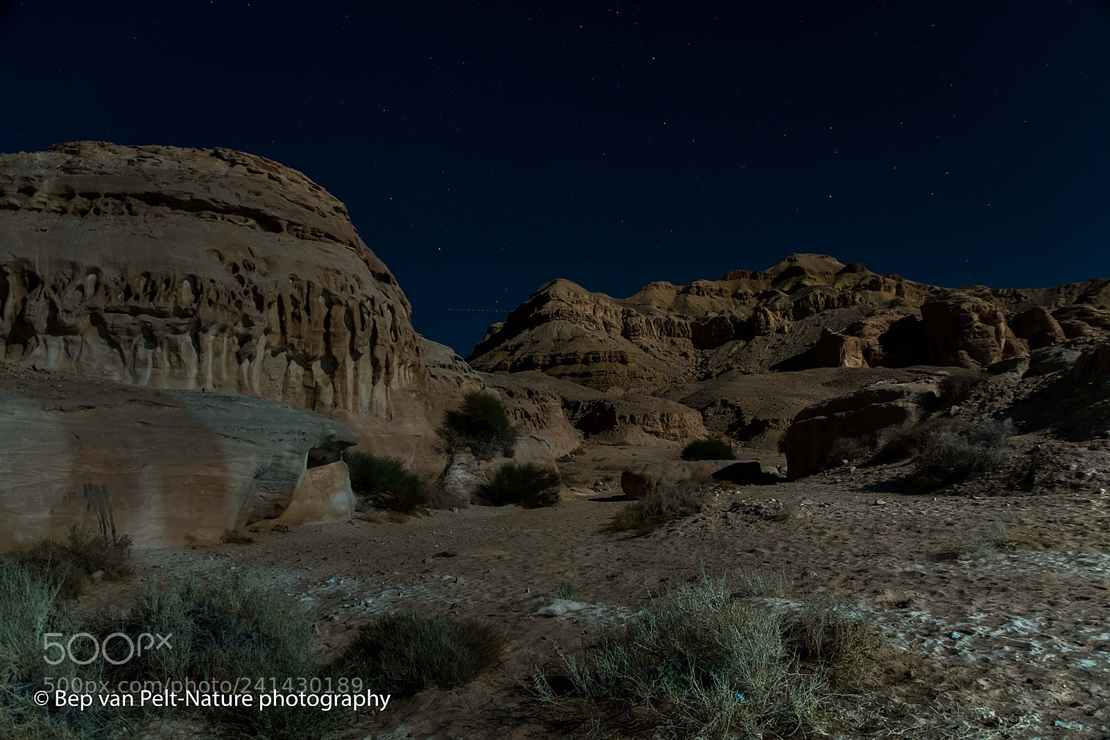 Nikon D500 sample photo. Wadi araba at moonlight photography