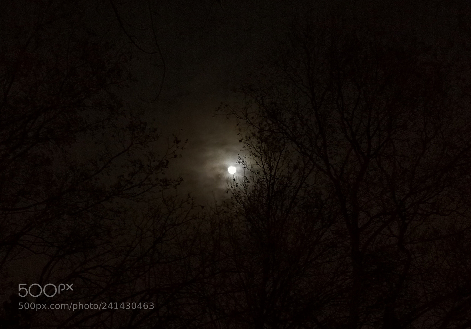 HUAWEI Mate 9 sample photo. Winter moon photography