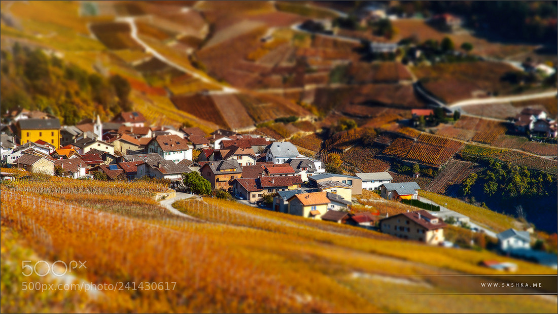 Sony a99 II sample photo. Tilt-shift aerial view of photography