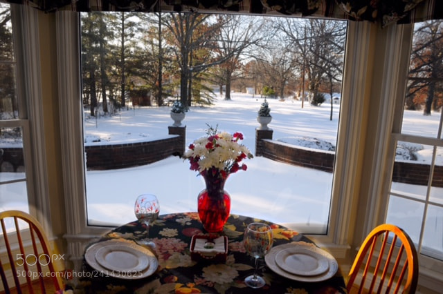 Nikon D300 sample photo. Cure your winter blues photography