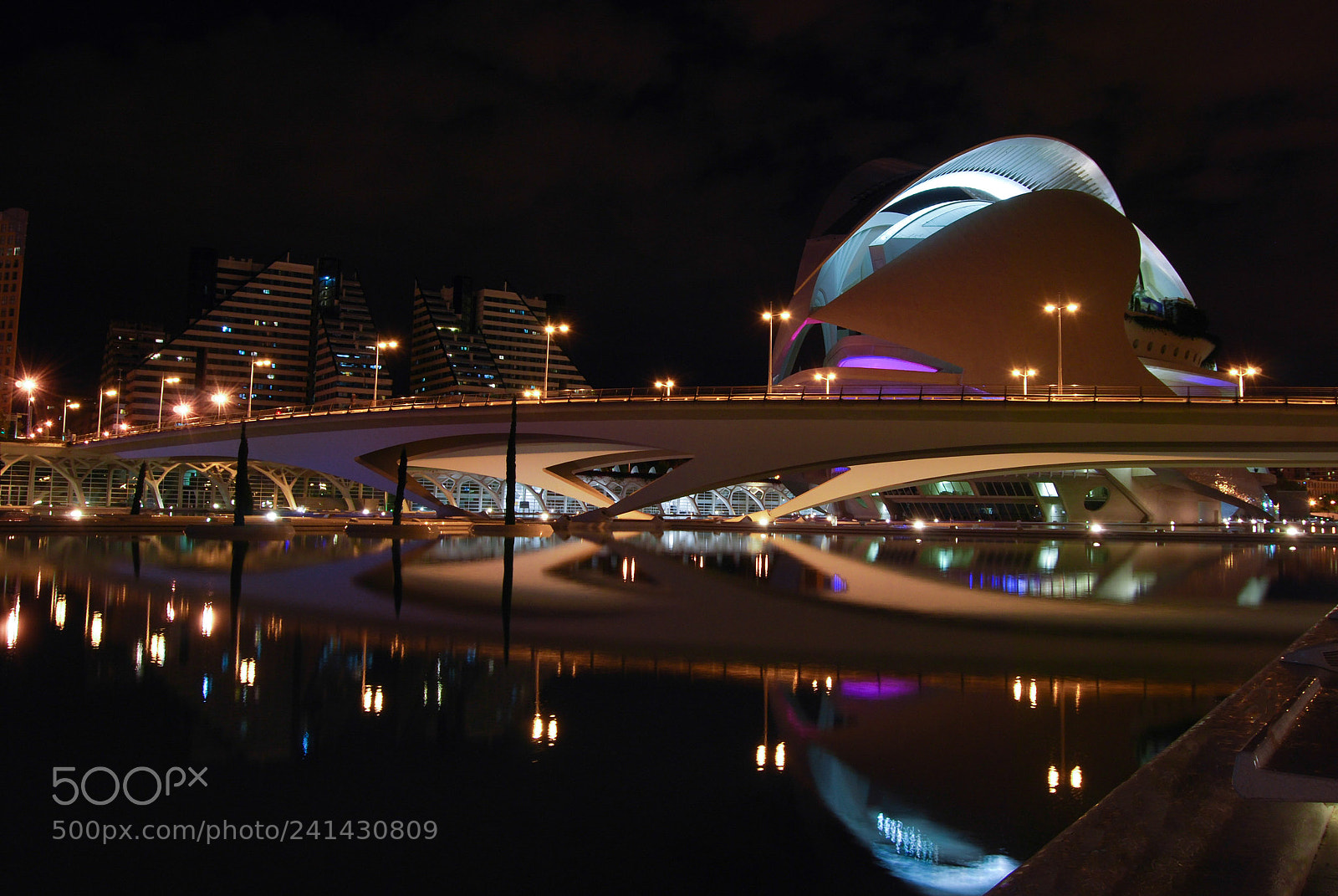 Nikon D60 sample photo. Palau de les arts photography