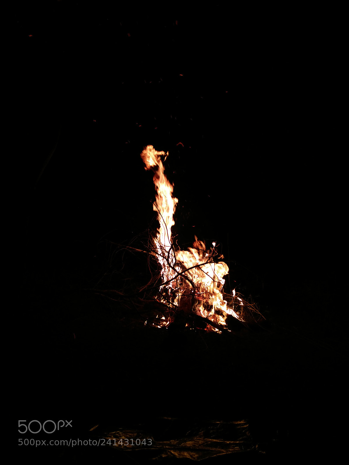 OnePlus 2 sample photo. Untitled photography