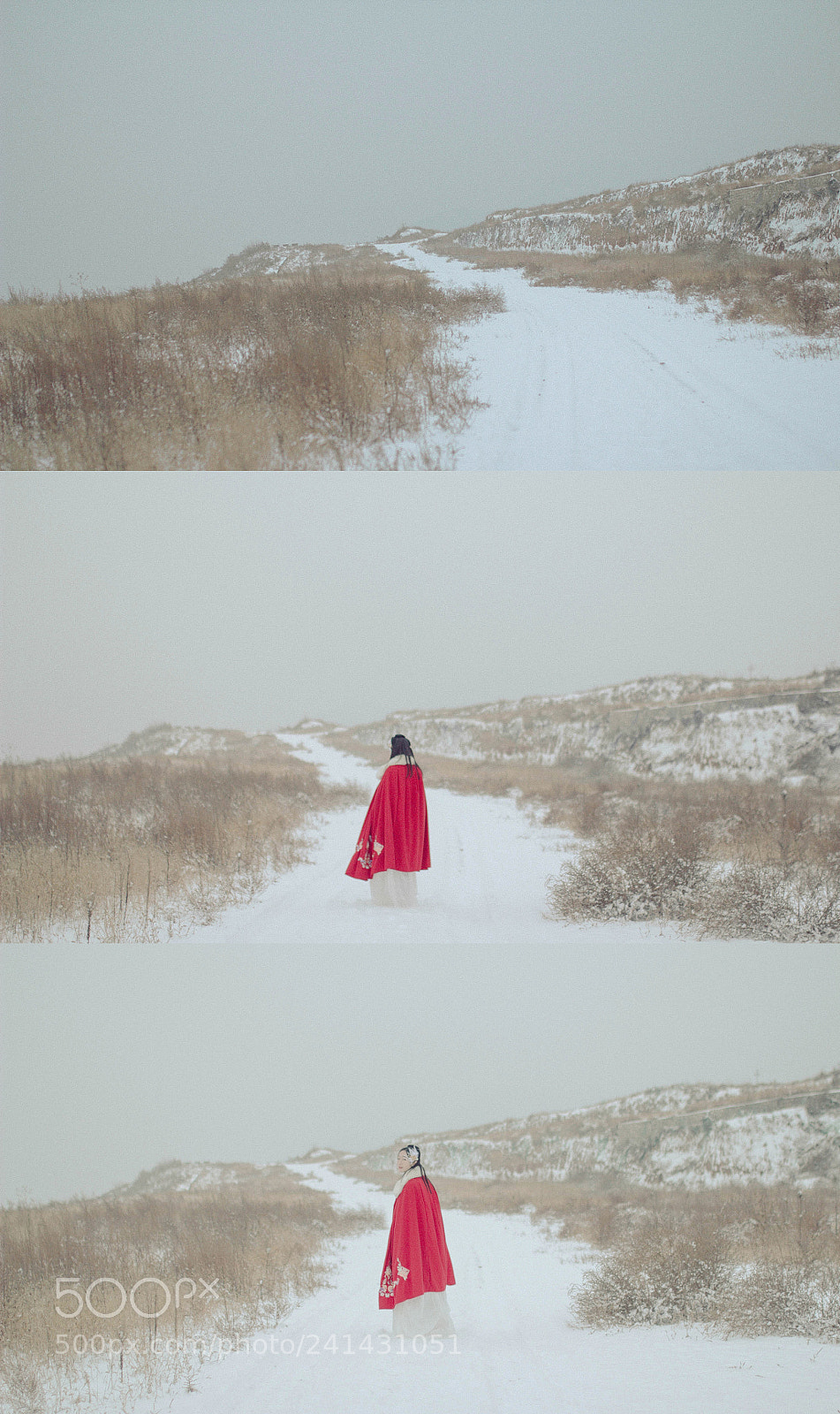 Canon EOS 60D sample photo. 《鹧鸪天》 photography