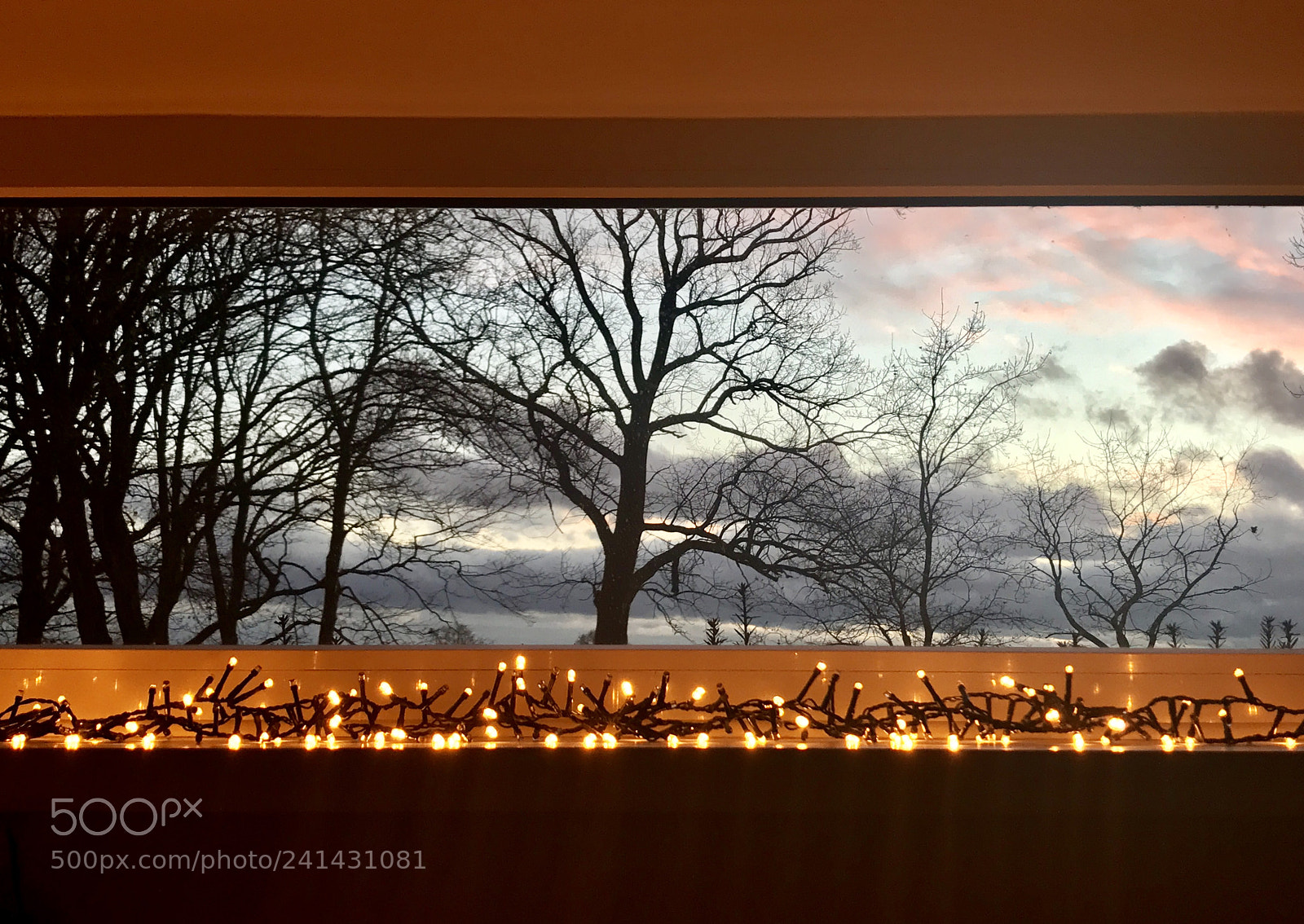 Apple iPhone 7 Plus sample photo. View from my kitchen photography