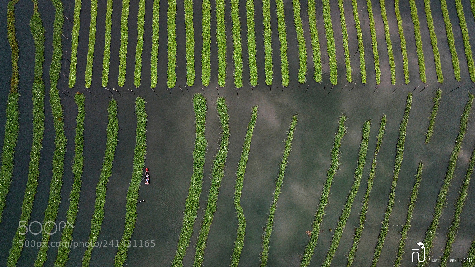 DJI FC220 sample photo. Bindweed farm bird's eye photography