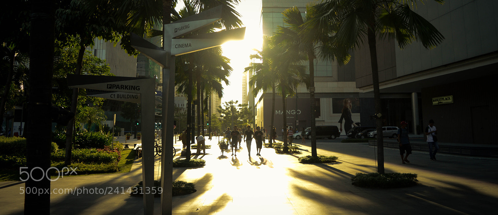 Nikon D3200 sample photo. Chase the sun photography