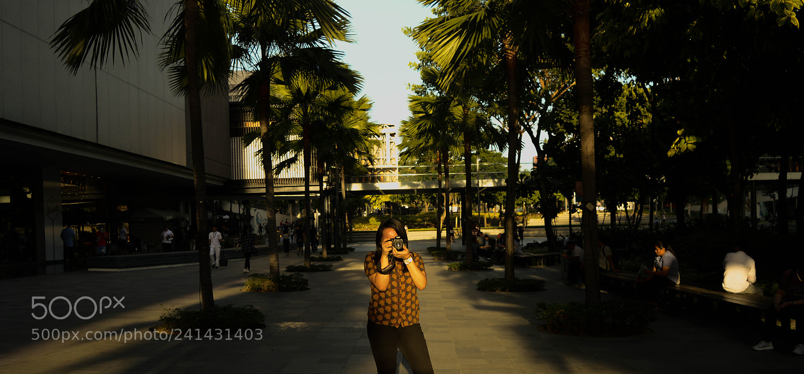 Nikon D3200 sample photo. Chase the sun photography