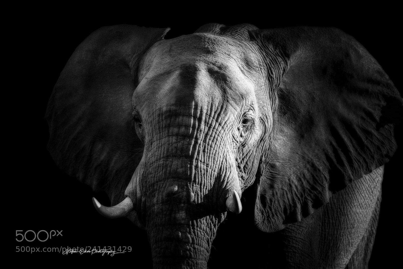 Nikon D800 sample photo. Lights and shadows photography
