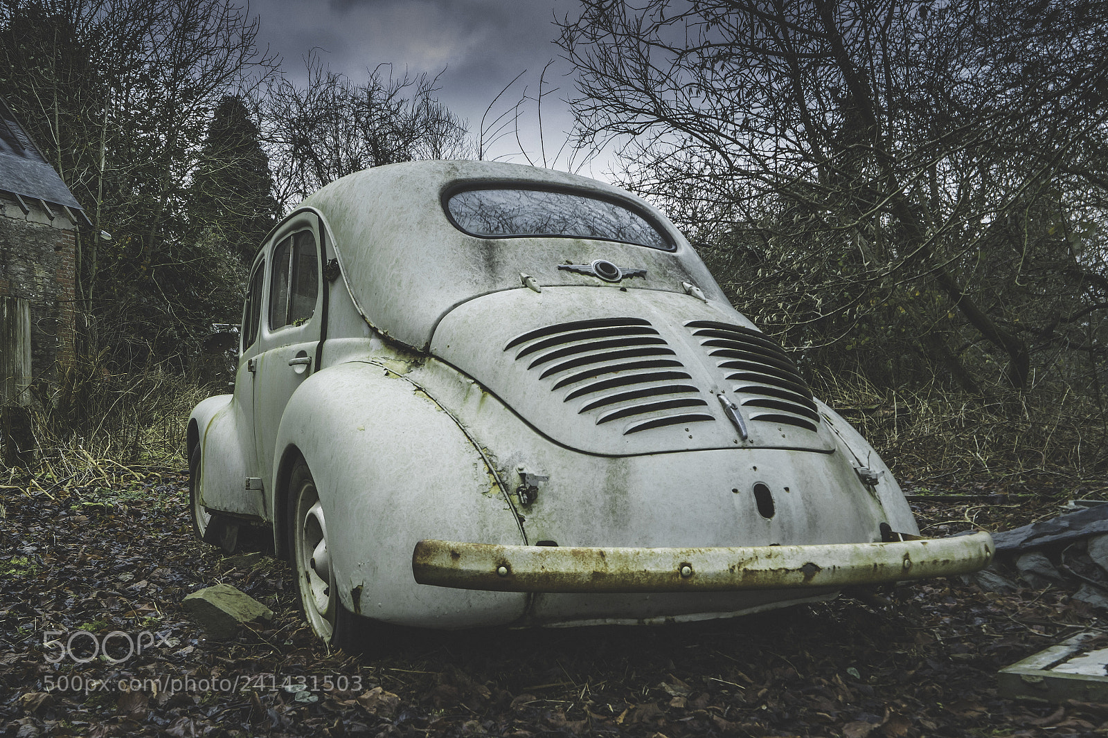 Samsung NX3000 sample photo. Joli pti'cul photography