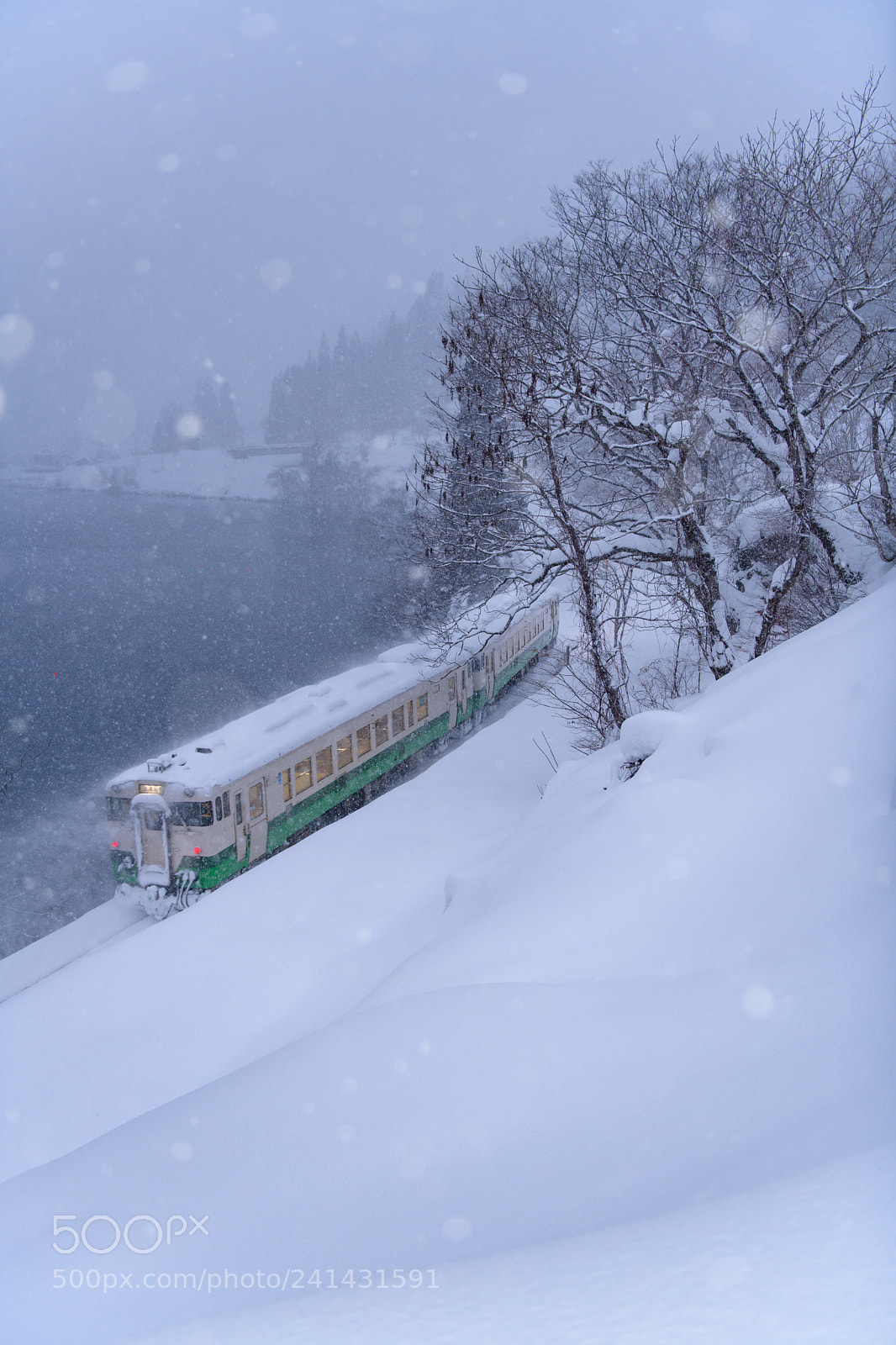 Nikon D850 sample photo. Powdery snow train photography