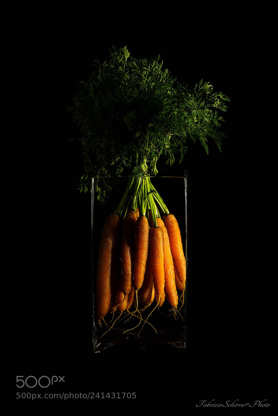 Canon EOS 60D sample photo. Trapped carrots photography