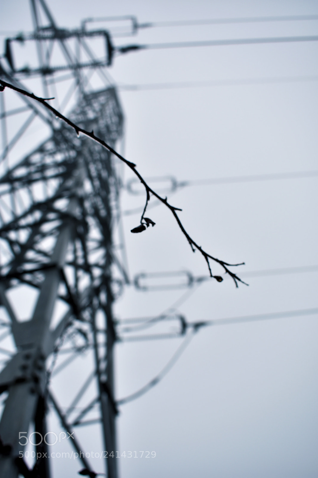 Nikon D3400 sample photo. Electricity photography