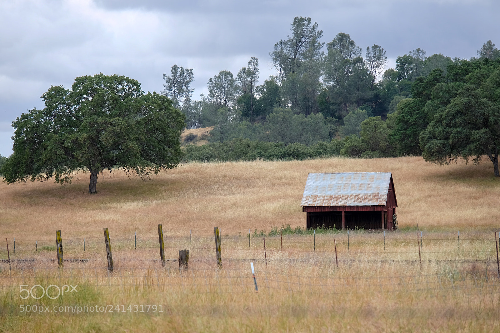 Fujifilm X-T1 sample photo. Rural photography