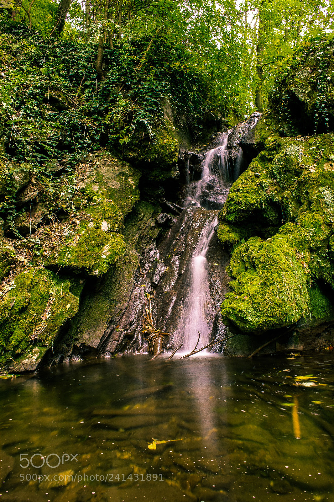 Canon EOS 1200D (EOS Rebel T5 / EOS Kiss X70 / EOS Hi) sample photo. Little treasure photography