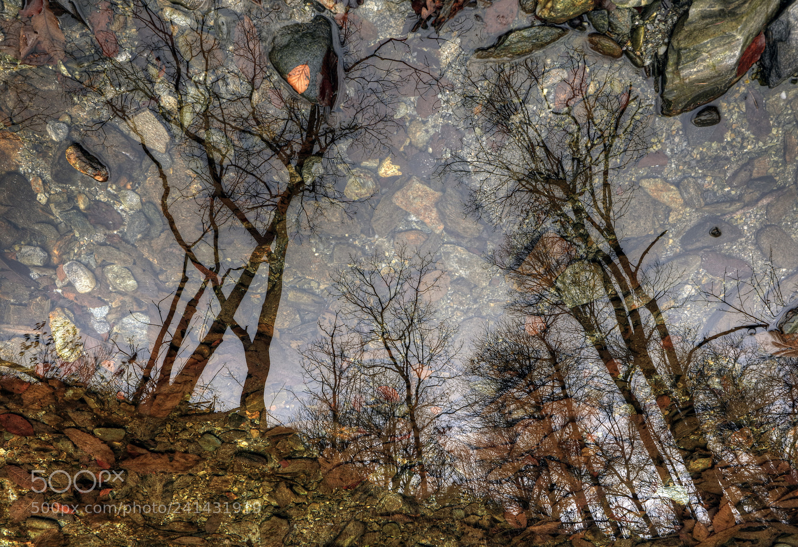 Canon EOS 5DS R sample photo. Textures in mirror photography
