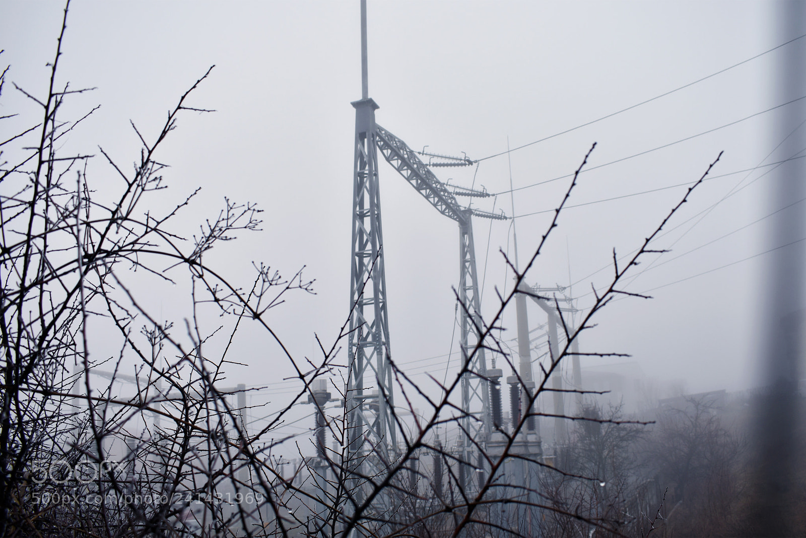 Nikon D3400 sample photo. Foggy morning photography