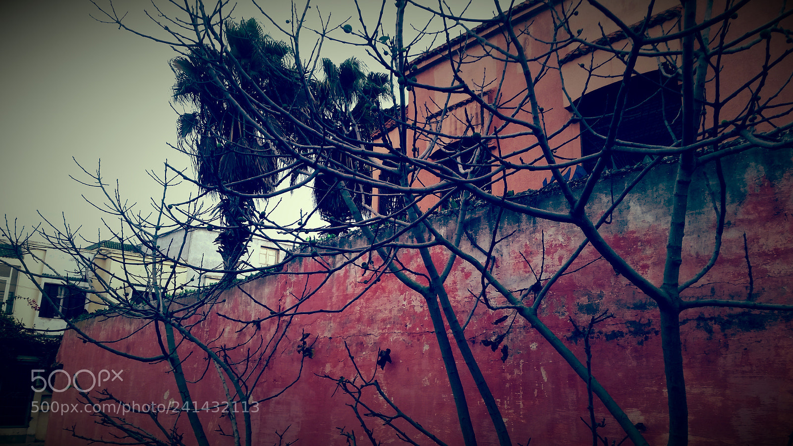 Samsung Galaxy S5 sample photo. Untitled photography