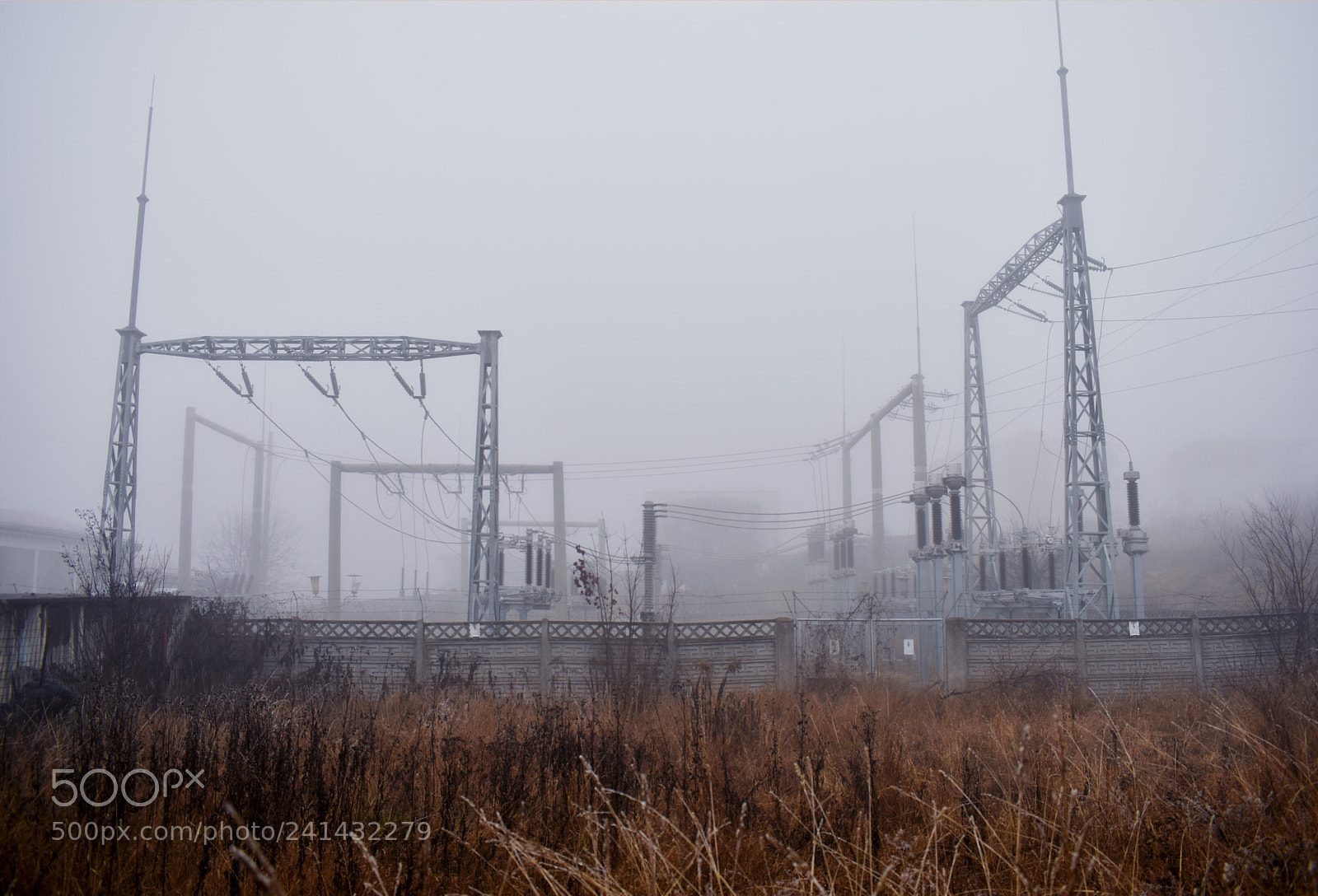 Nikon D3400 sample photo. The mist photography