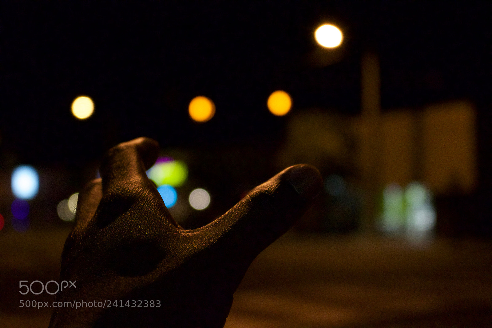 Canon EOS 100D (EOS Rebel SL1 / EOS Kiss X7) sample photo. Reach for the light photography