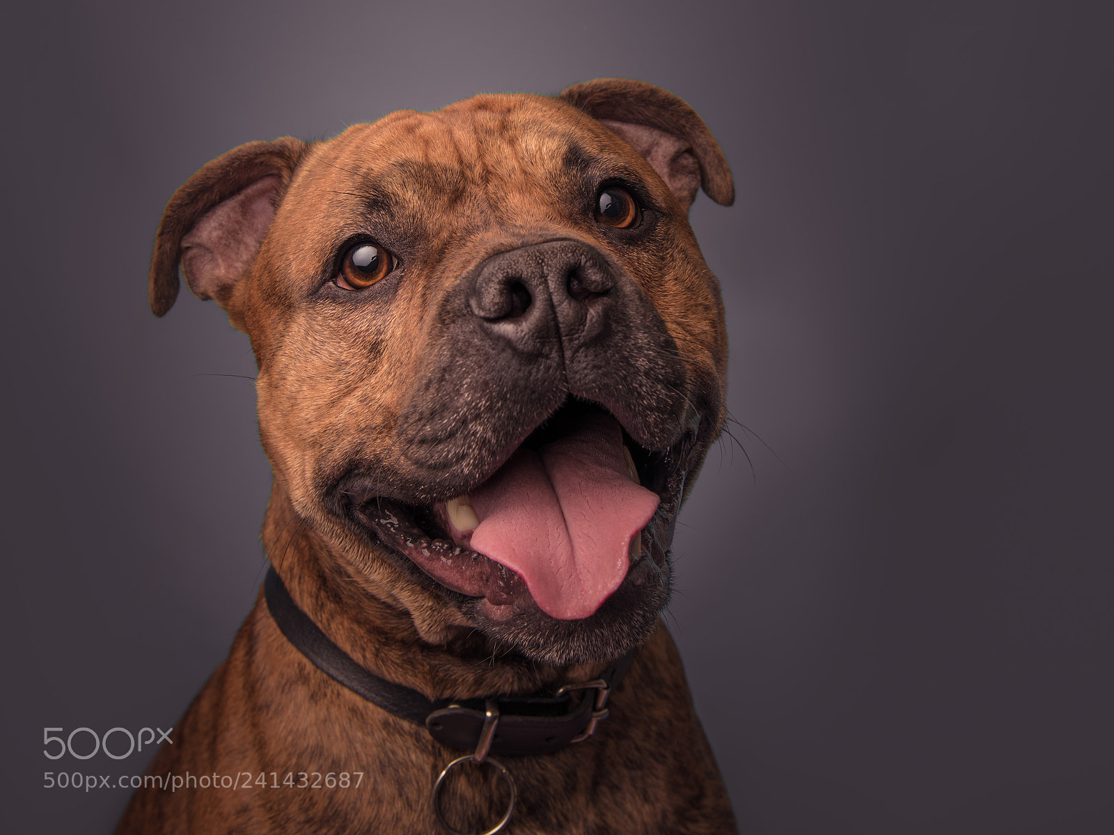 Nikon D810 sample photo. Am i a good photography