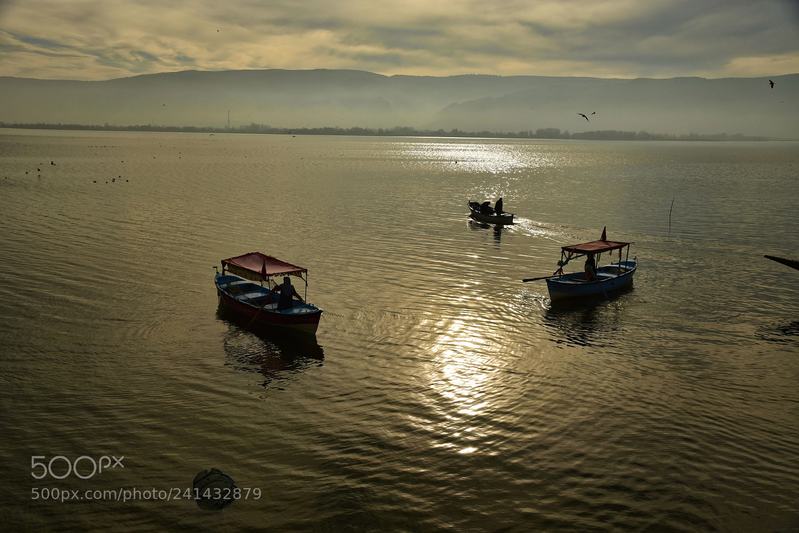 Nikon AF-S Nikkor 24-120mm F4G ED VR sample photo. Crossed on the lake photography