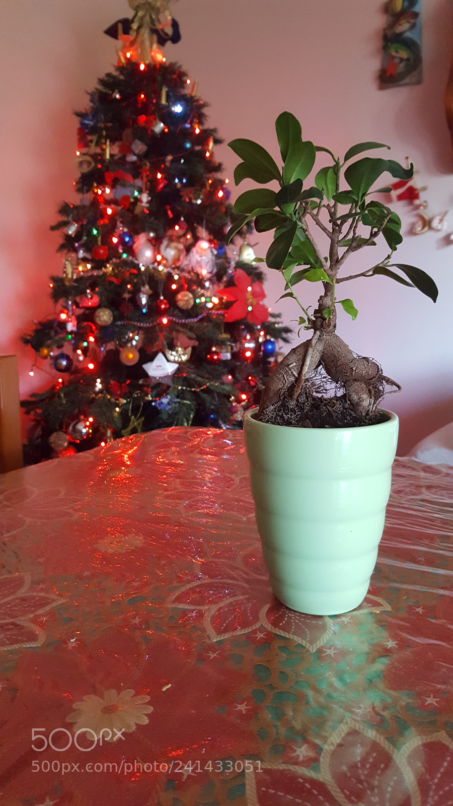 Samsung Galaxy S6 sample photo. Untitled photography
