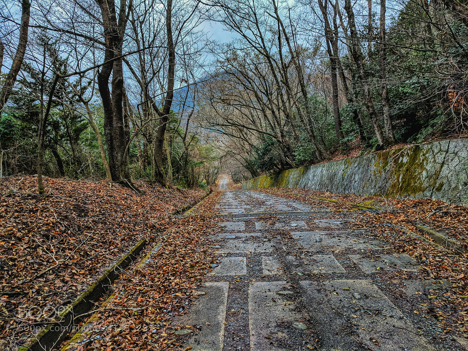 Google Pixel XL sample photo. Deserted trail photography