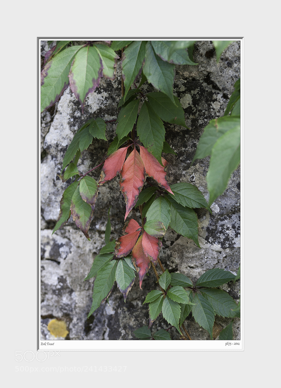 Canon EOS 40D sample photo. Autumn photography