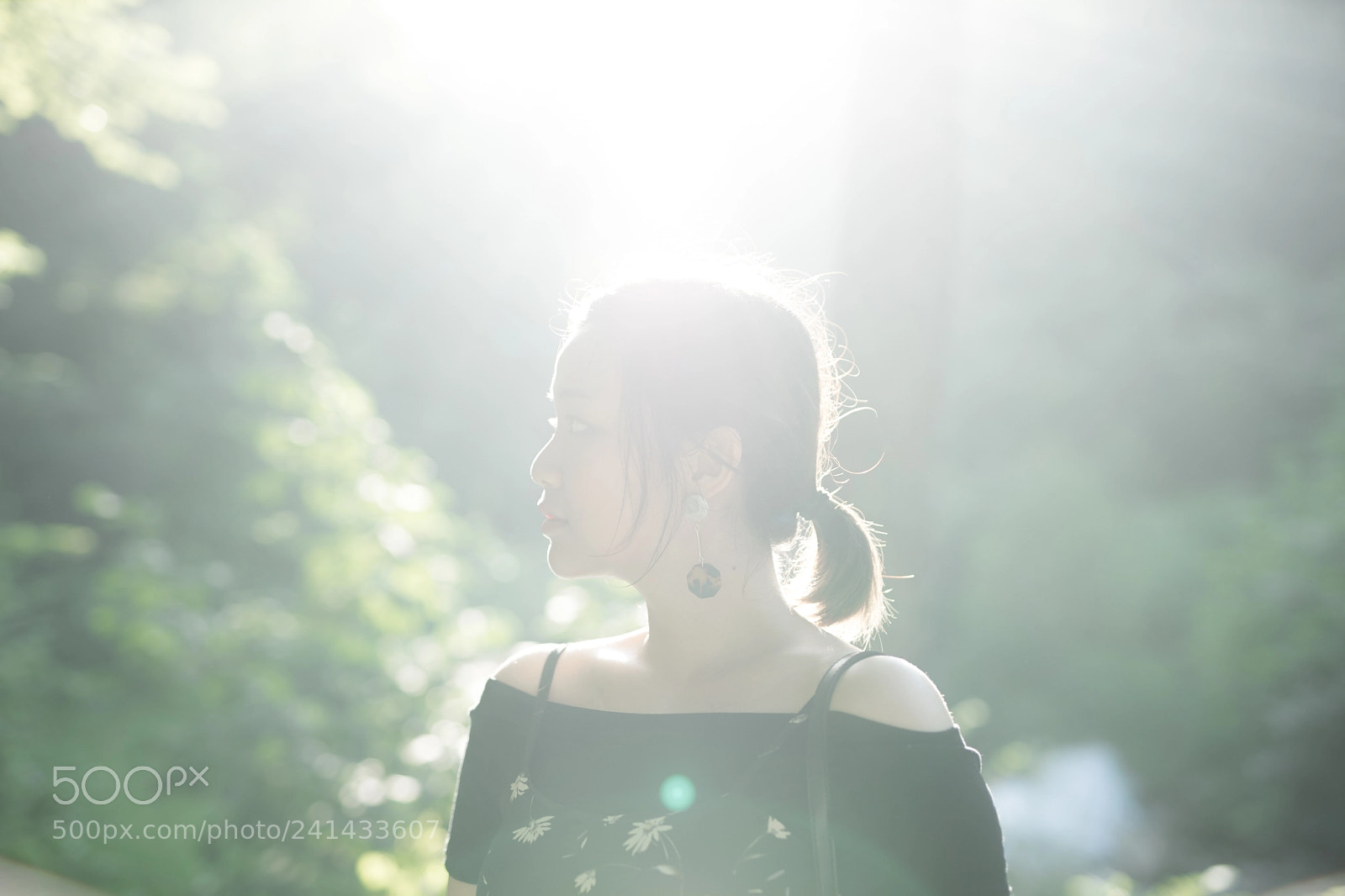 Sony a7 II sample photo. Garden of morning calm photography