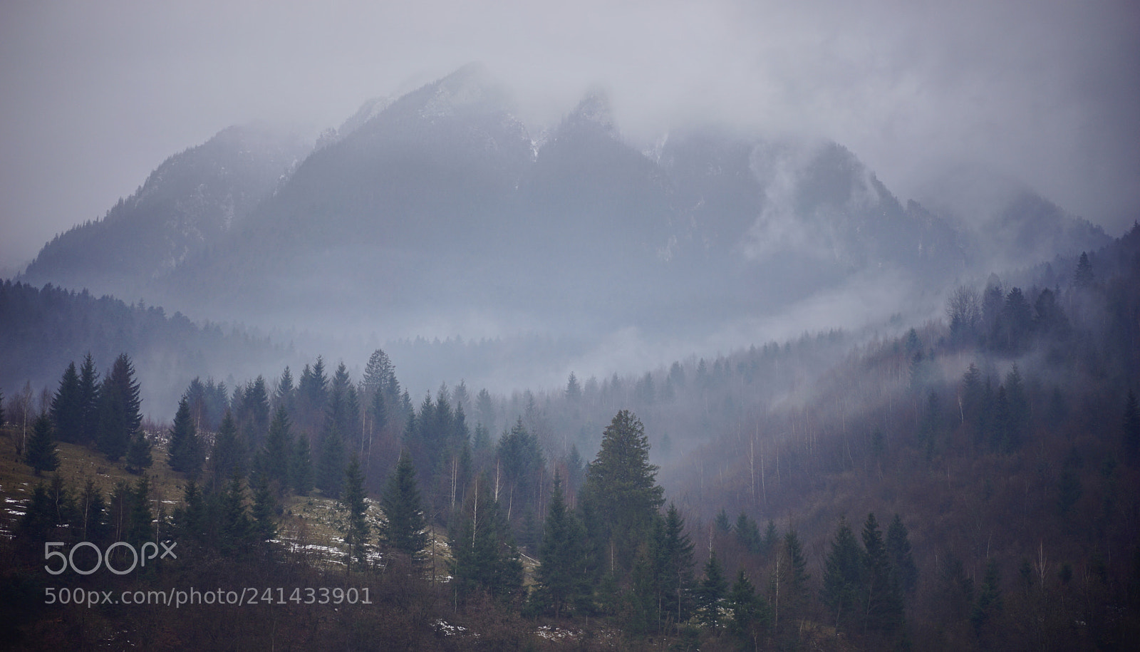 Sony a7 II sample photo. Moody 2018 ⛰?? photography
