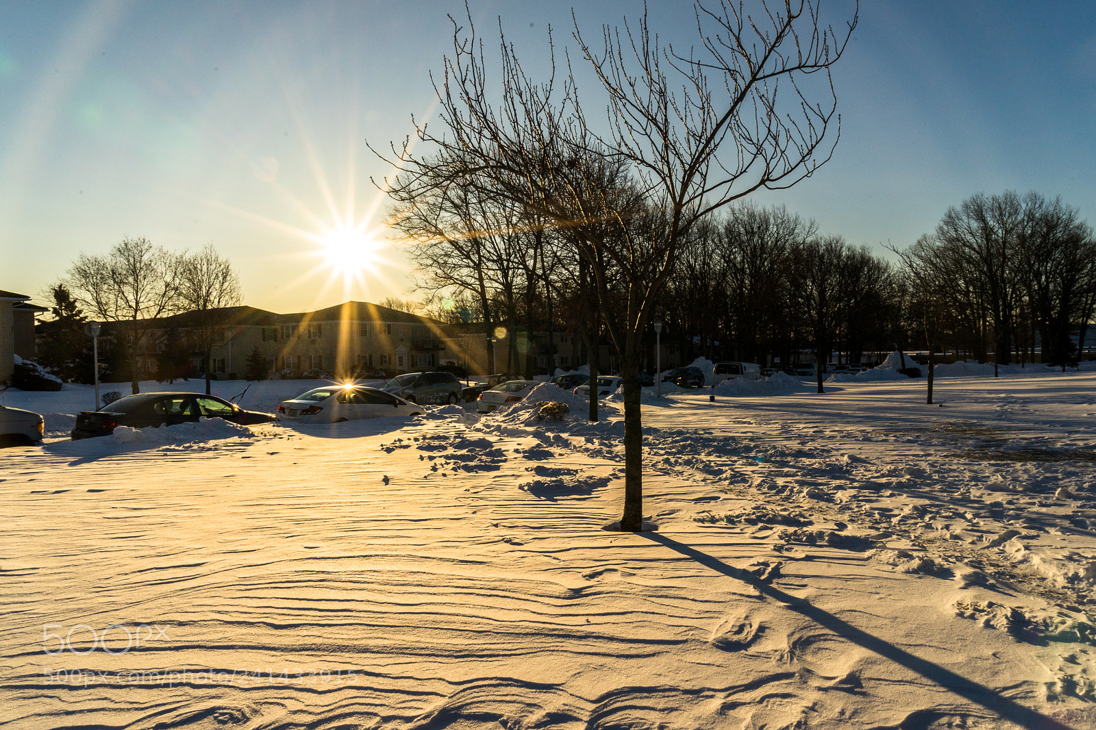 Sony a7 II sample photo. Dsc photography