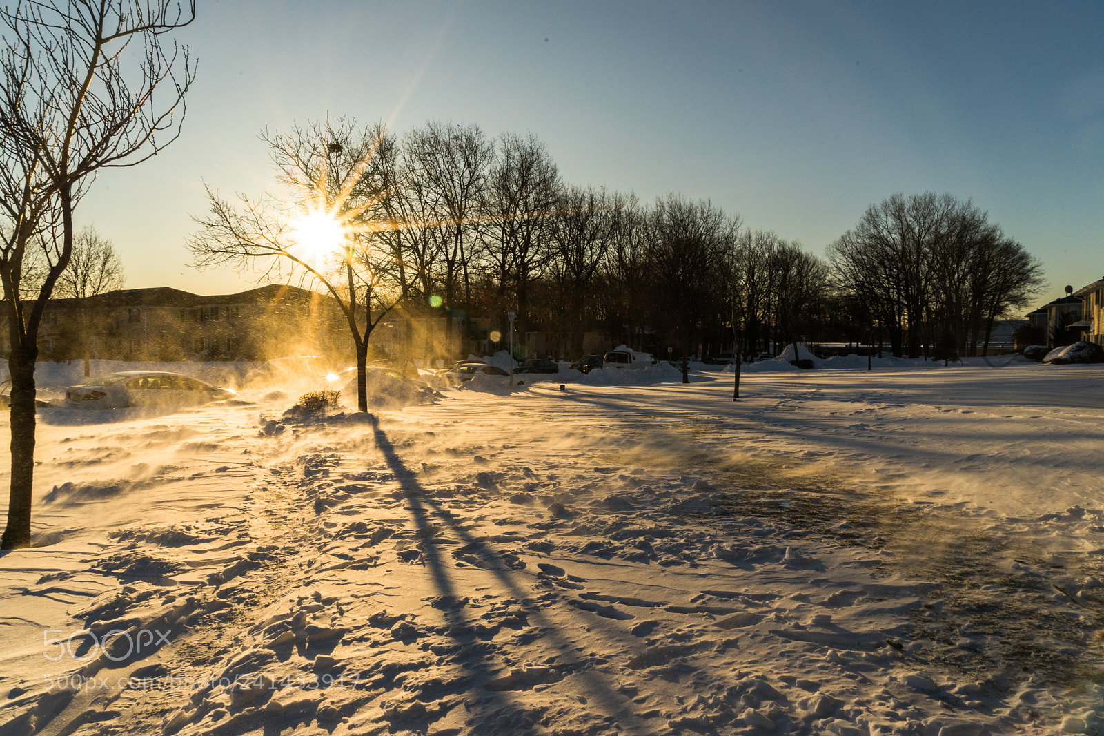 Sony a7 II sample photo. Dsc photography