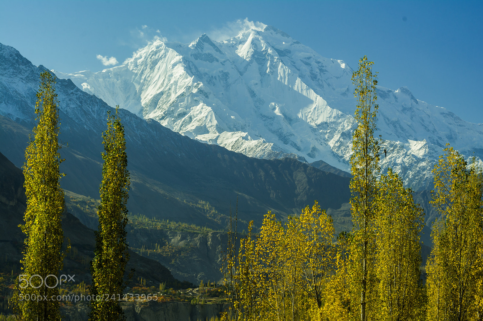 Nikon D7100 sample photo. Autumn photography