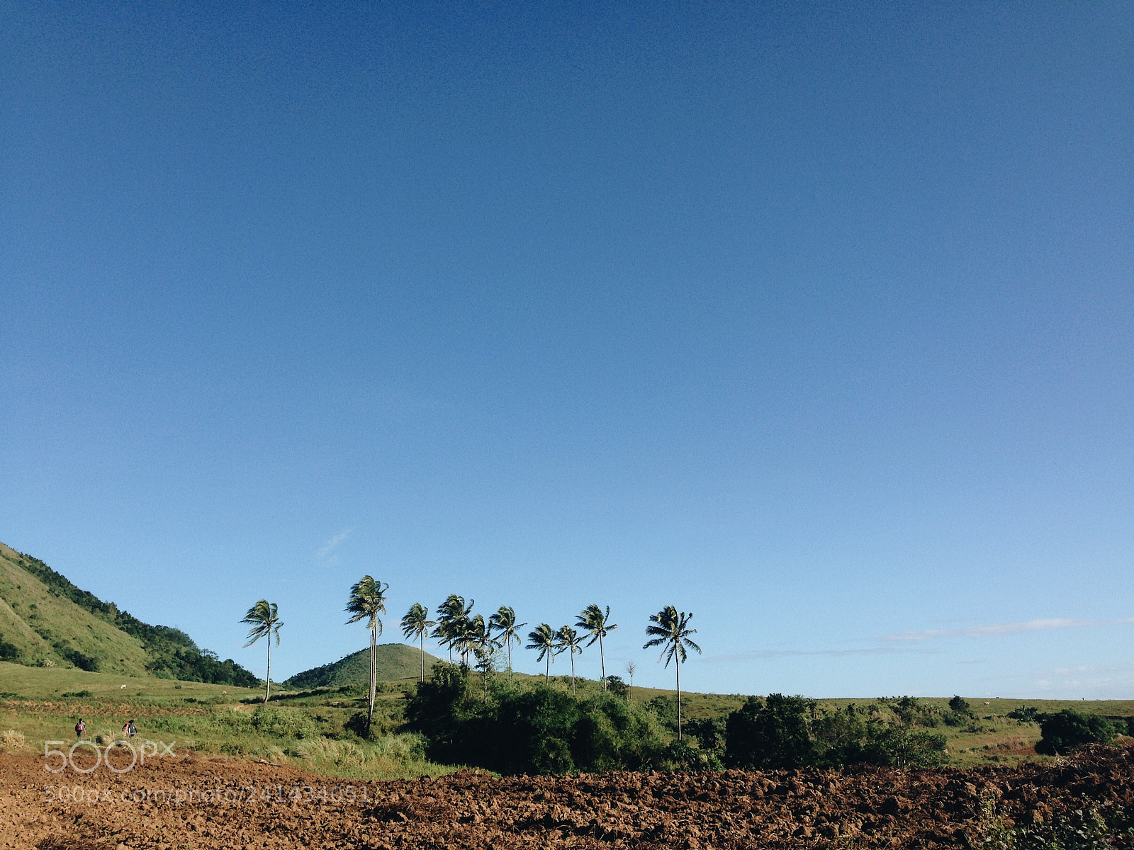 Apple iPhone 5 sample photo. Windy mountain top photography