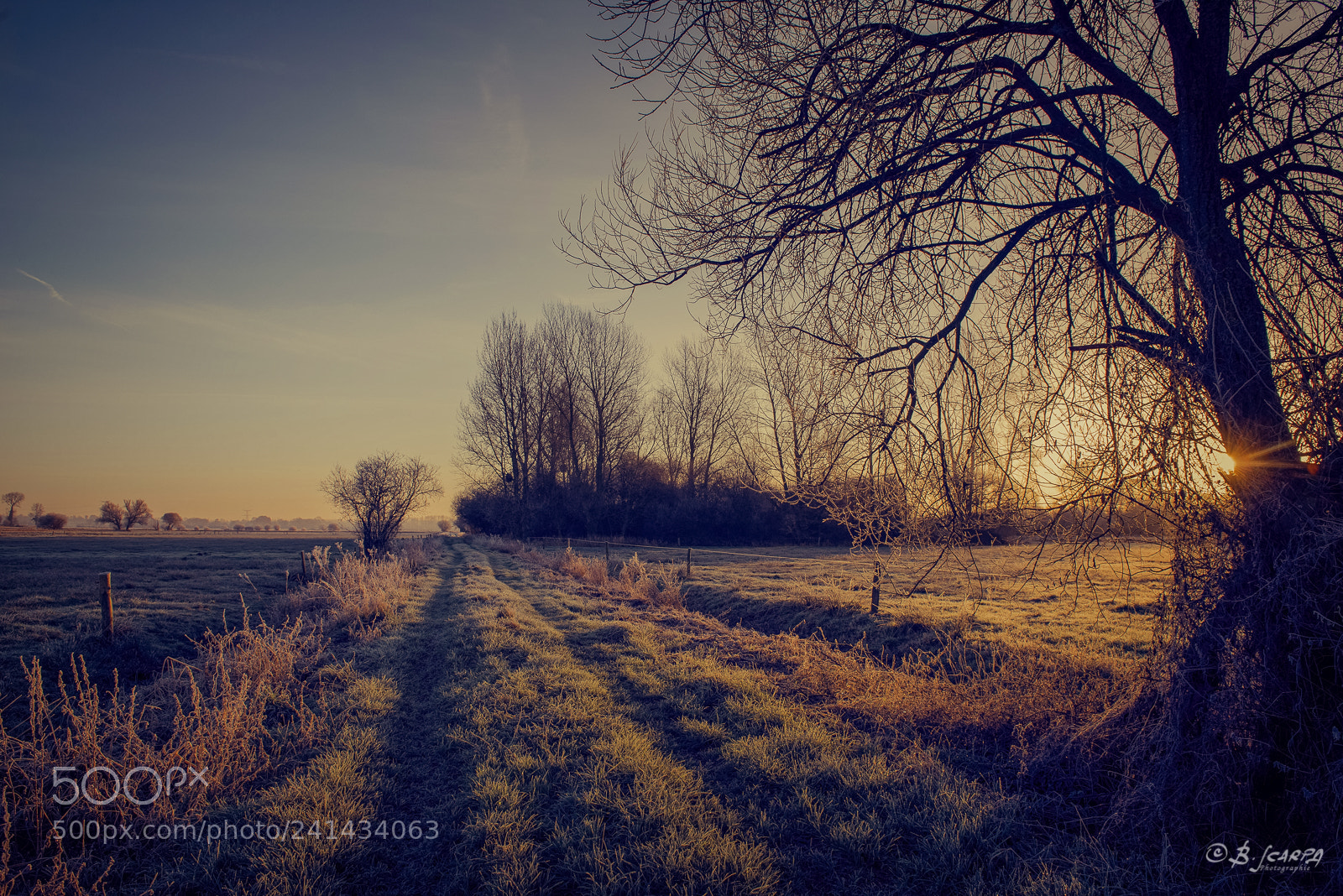 Nikon D800E sample photo. Couleurs et lumie re photography
