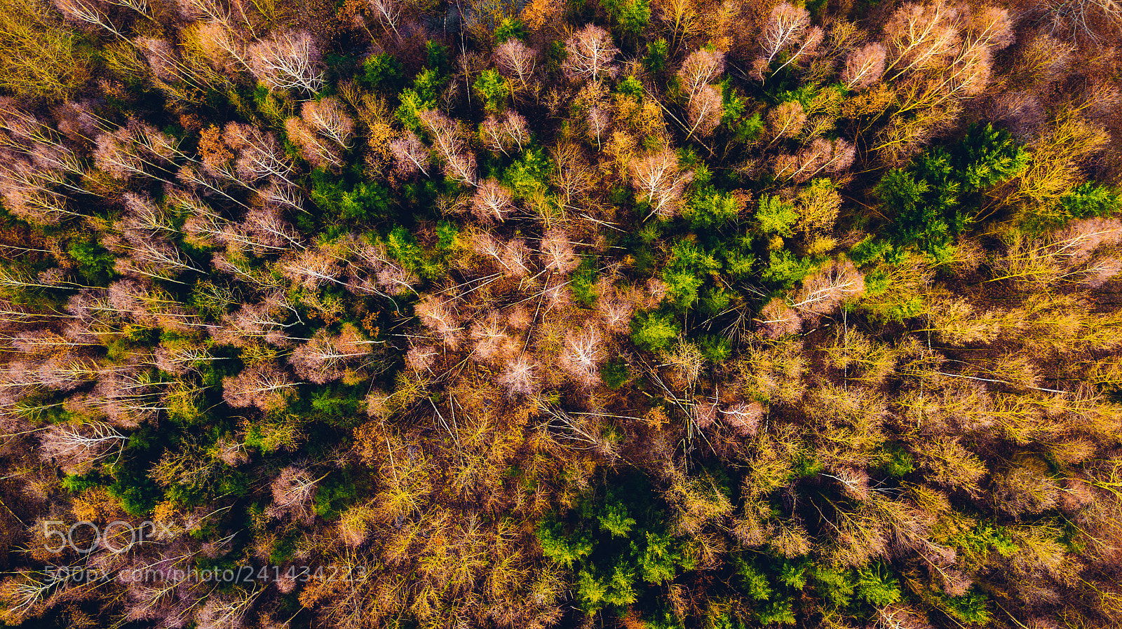 DJI FC220 sample photo. Colours photography