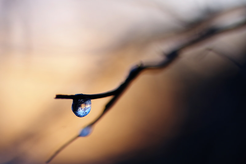 Tamron SP AF 90mm F2.8 Di Macro sample photo. Morning photography