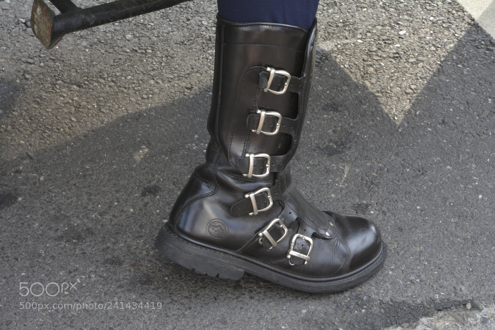 Nikon D7100 sample photo. 20171028-014.jpg photography