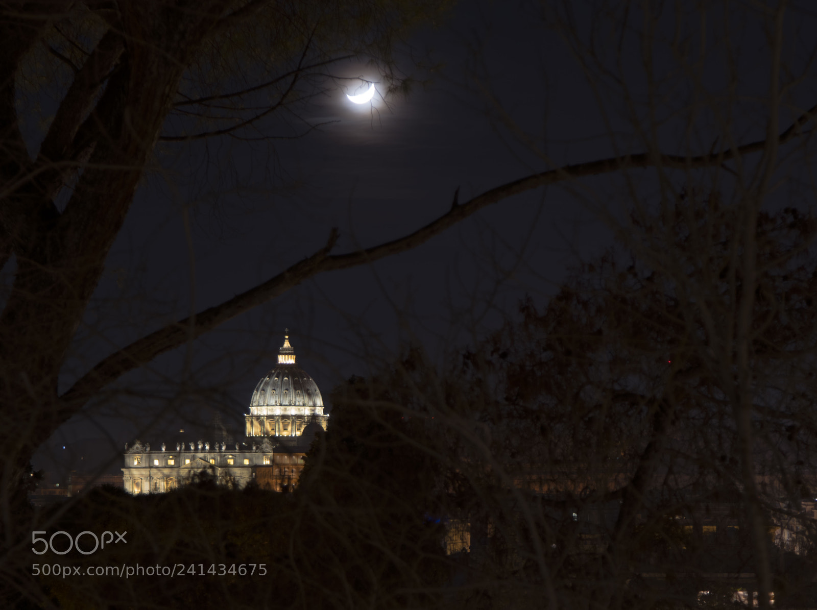 Nikon D810 sample photo. Untitled photography