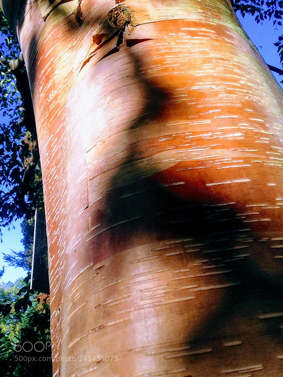 Apple iPhone 5 sample photo. Untitled photography