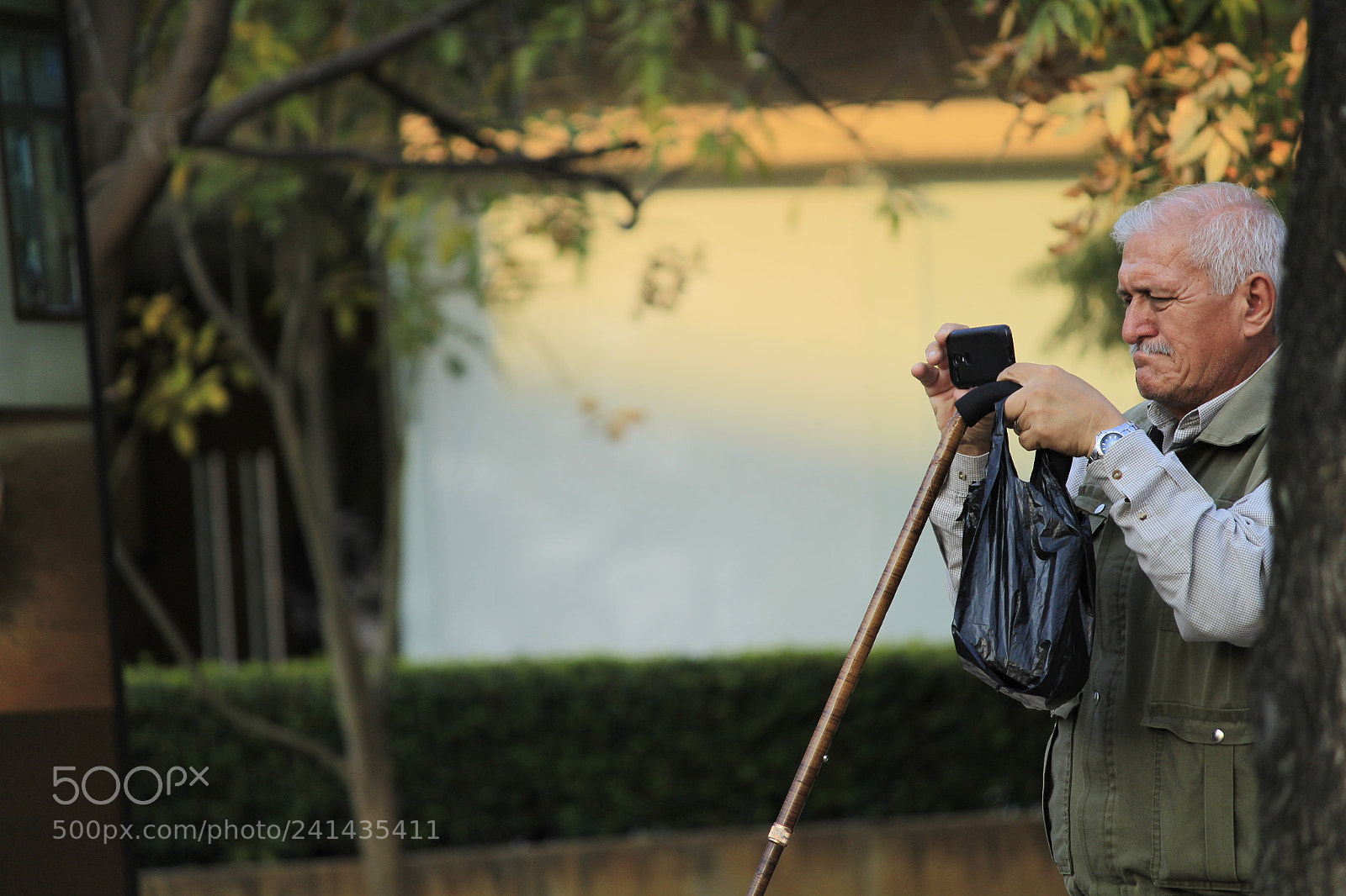 Canon EF-S 55-250mm F4-5.6 IS II sample photo. Vidas photography